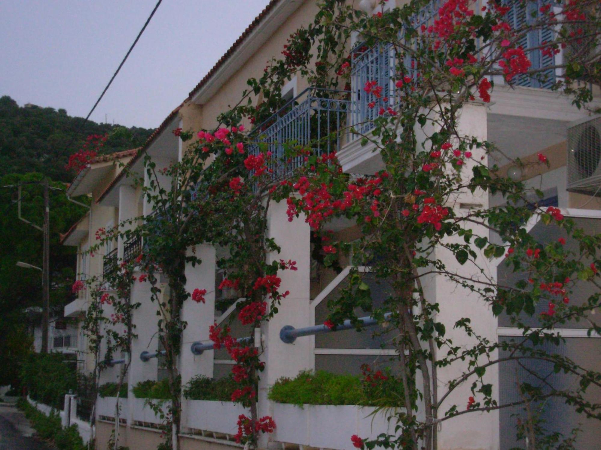 Louisa Studios Poros  Екстериор снимка
