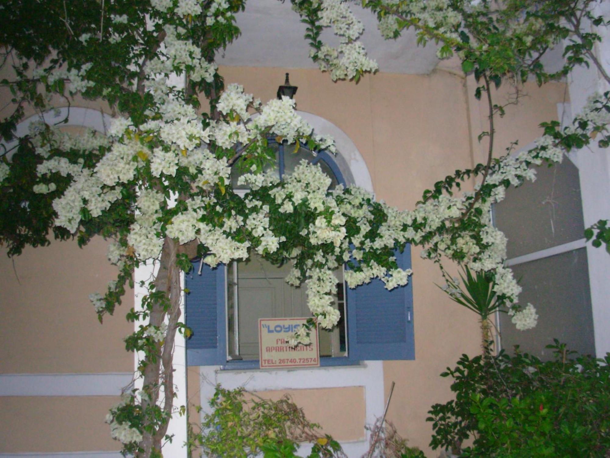 Louisa Studios Poros  Екстериор снимка